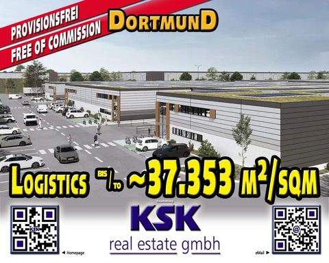 Dortmund Halle, Dortmund Hallenfläche