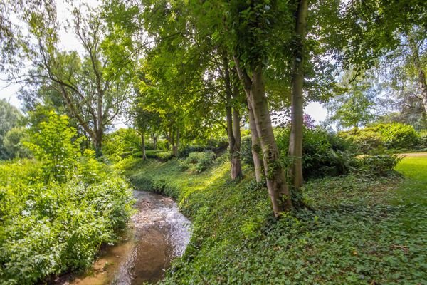 Eigener Bachlauf auf dem Grundstück