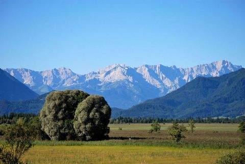 Oberau Halle, Oberau Hallenfläche