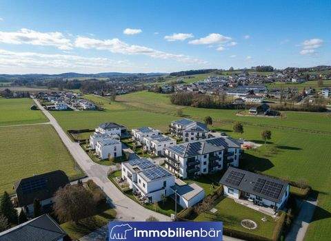 Steegen Häuser, Steegen Haus kaufen