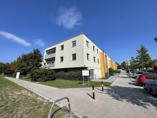 Bild 15