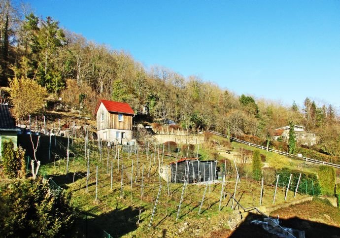 Ihr neues Zuhause für alle Sinne