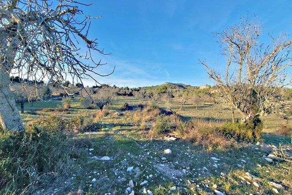 Grundstück mit Bauprojekt in S´Alqueria Blanca