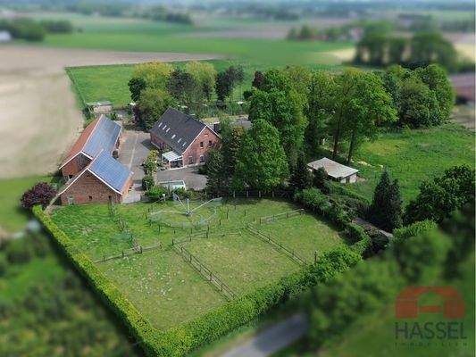 Ihr gesamtes Gelände