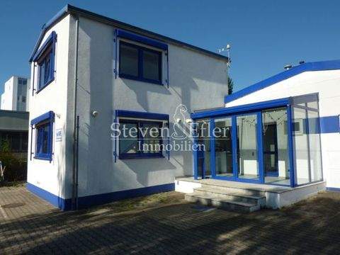 Feucht Halle, Feucht Hallenfläche