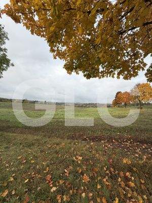 Ansicht Grundstück Schafgasse  - 3