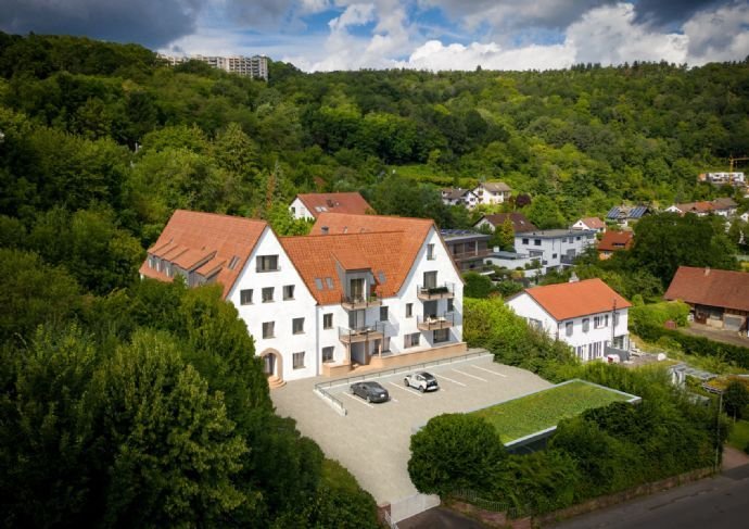 Alte Jugendherberge Wertheim - Ausblick PUR - Whg. 12