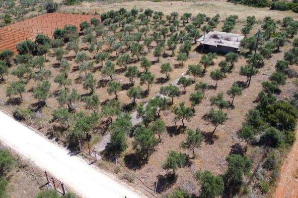 Kreta, Mouzouras: Flaches Grundstück mit Panoramablick zu verkaufen