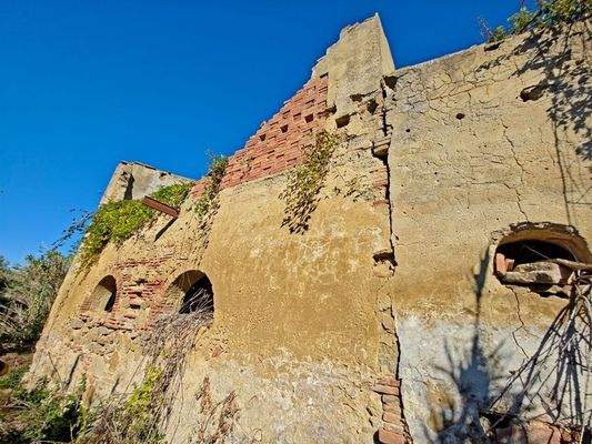 20251104_104229 - 1K JPEG.jpg