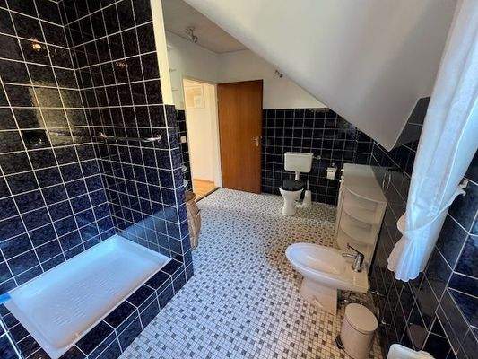 DG |&nbsp;Bad | Blick auf Tür