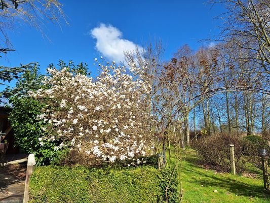 Gartenansicht