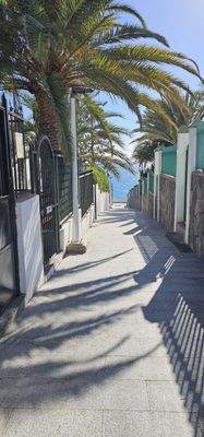 IMG-20241116-WA0013.jpg