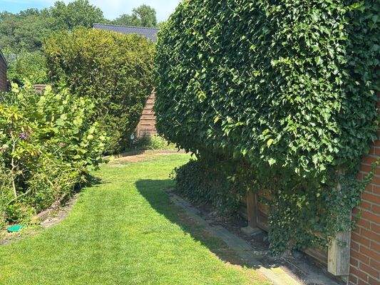 Teilausschnitt Garten