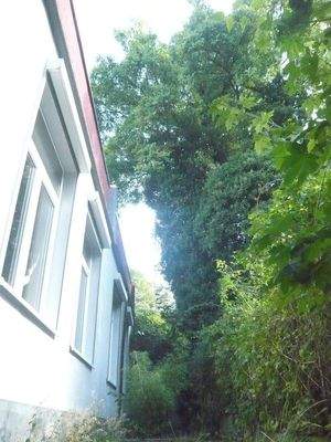 Süd West-Fassade Wo-Zi 