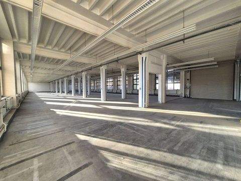 Dresden Halle, Dresden Hallenfläche