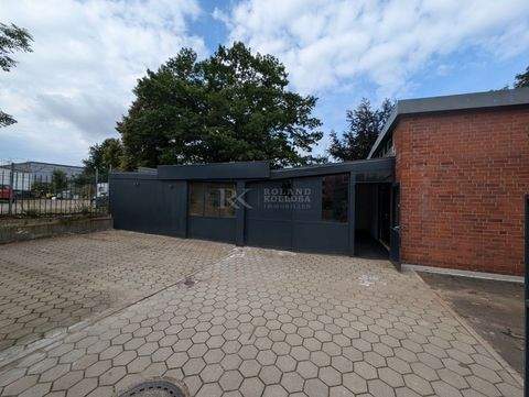 Hamburg Halle, Hamburg Hallenfläche