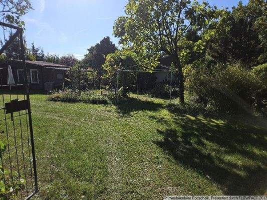 Blick in den Garten