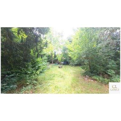 Blick in den wunderschönen Garten 