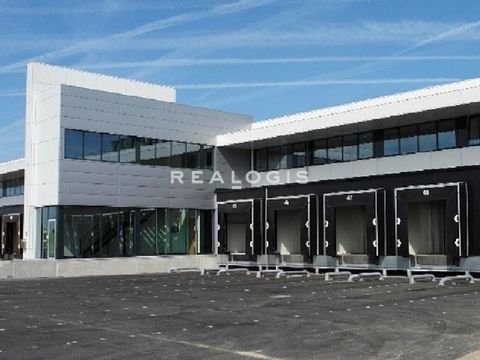 Hannover Halle, Hannover Hallenfläche