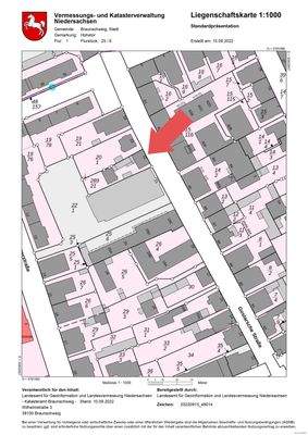 Liegenschaftskarte_(5)