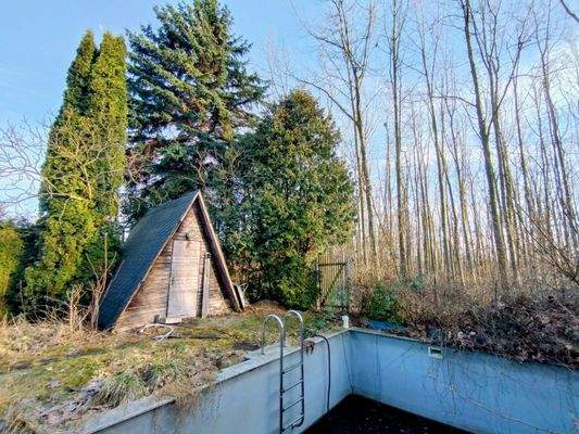 Garten mit Pool und Zugang zum Wald