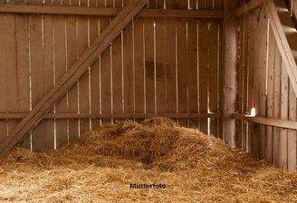 Keine Originalbilder