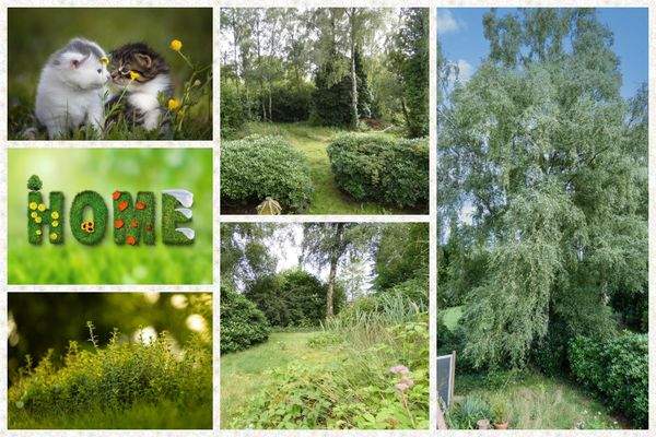 Für Tierfreunde & Naturliebhaber