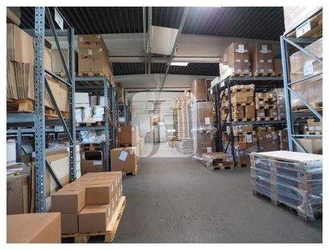 Hamburg Halle, Hamburg Hallenfläche