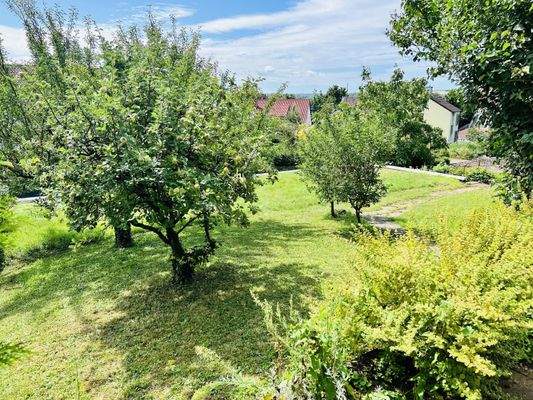 Blick in den Garten