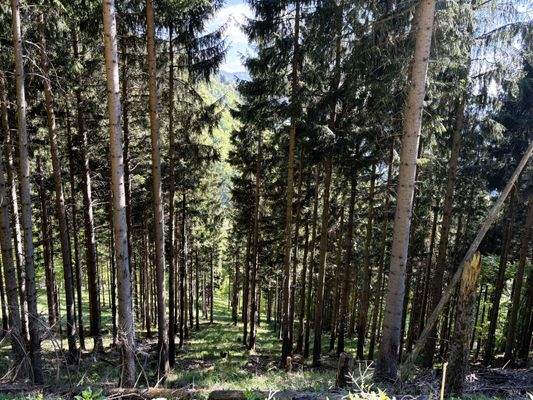 2025-05-13 16.17.57.jpg