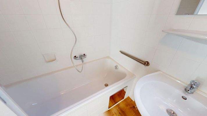 Wispelhofsiedlung-11072025_165451