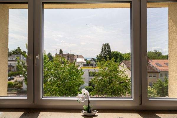 Wohnbereich Fenster Ausblick