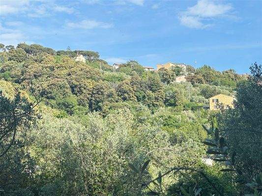 Blick auf Massa Marittima