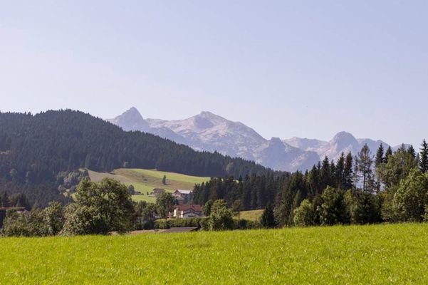 Traumhafter Berg- und Naturblick