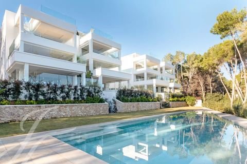Cala Llenya Wohnungen, Cala Llenya Wohnung mieten