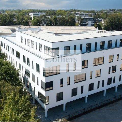 Nürnberg Büros, Büroräume, Büroflächen 