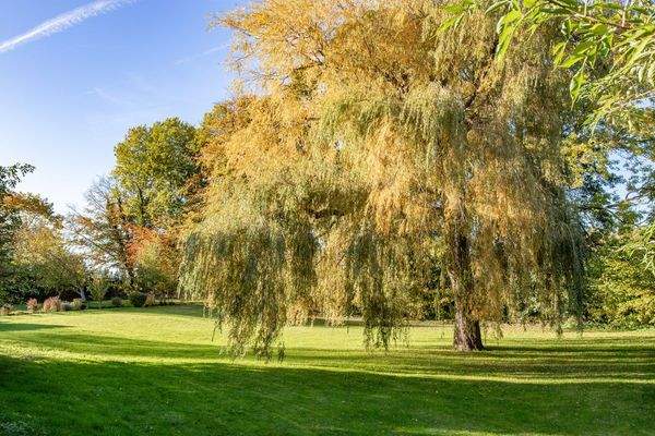 Grundstück mit Bestandsgebäude nahe der Schlei