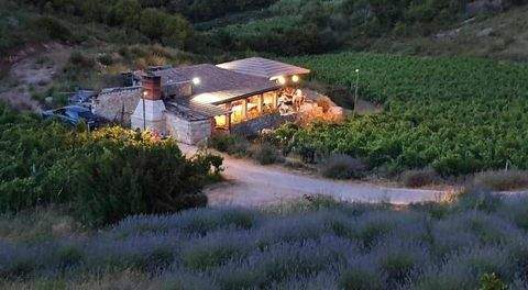 Vis Häuser, Vis Haus kaufen