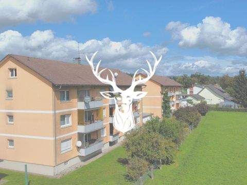 Laufenburg (Baden) Wohnungen, Laufenburg (Baden) Wohnung kaufen