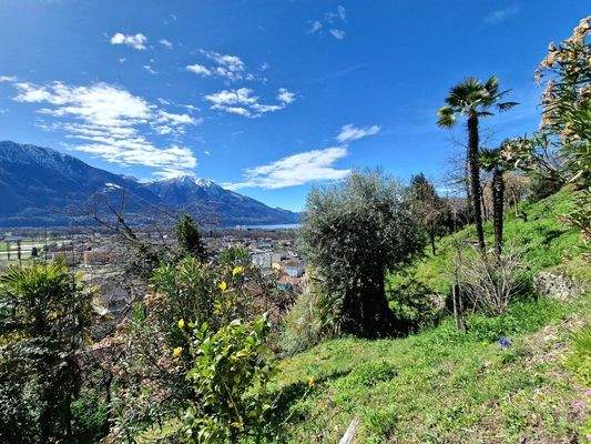 20240313_113504 - Kopie