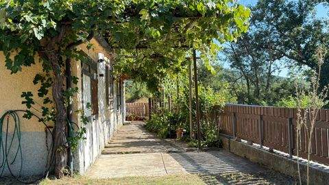 Massa Marittima Häuser, Massa Marittima Haus kaufen