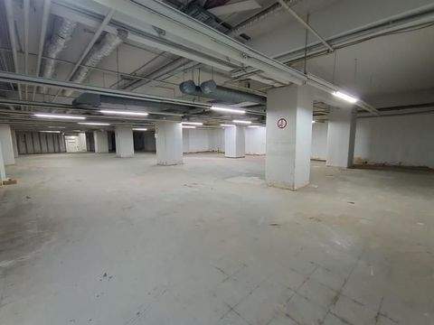 Braunschweig Halle, Braunschweig Hallenfläche