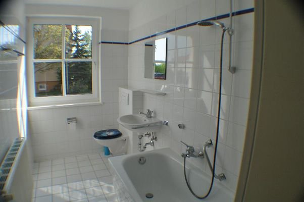 Bad mit neuer Dusche 