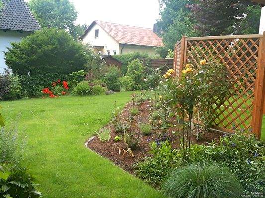 Die Gartenansicht Richtung Süden 