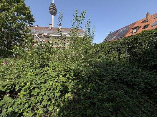 Bugrundstück Nürnberg 012