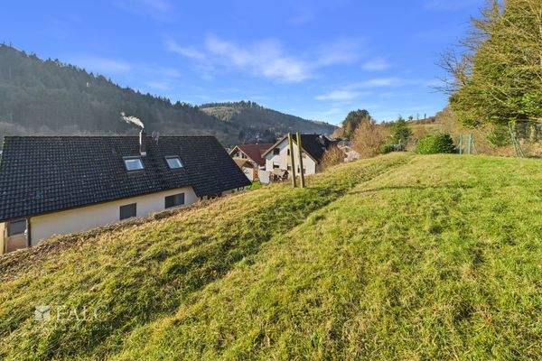 Gartenfläche Optional -1