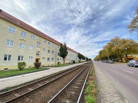 Halle (Saale) Wohnungen, Halle (Saale) Wohnung mieten