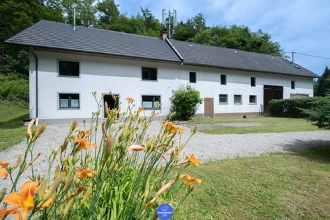 Haibach ob der Donau Halle, Haibach ob der Donau Hallenfläche