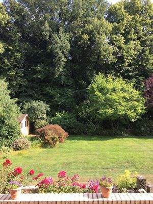 Garten im Sommer 1