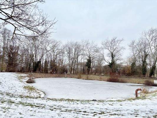 Der Feuerlöschteich